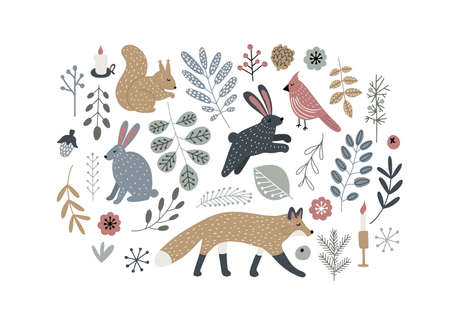 Hand drawn Scandinavian style forest animals and plants. Isolated vector illustration clip artのイラスト素材