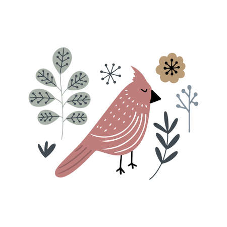 Cute red cardinal bird with branches and leaves, Scandinavian style isolated hand drawn vector clipartのイラスト素材