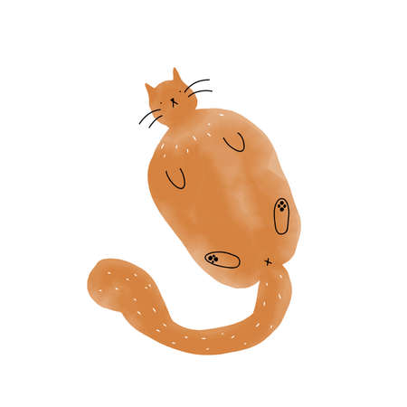 Hand drawn ginger watercolor texture cat, with minimalistic ink stroke whiskers and paws, lying on the back  isolated vector illustrationのイラスト素材