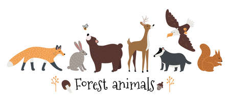 Hand drawn vector set with forest and woodland animalsのイラスト素材