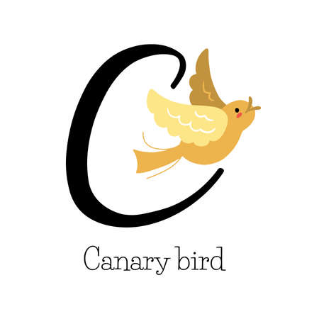 Capital letter C for Canary with cute yellow flying canary bird, childish alphabet with the birds name, hand drawn vector illustrationのイラスト素材