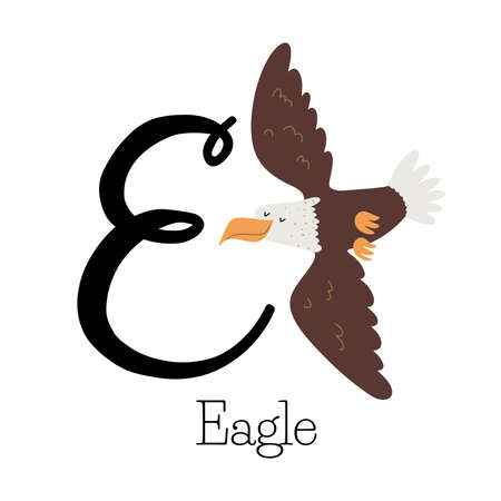 Capital letter E for Eagle with flying bald eagle, childish alphabet with the birds name, hand drawn vector illustrationのイラスト素材