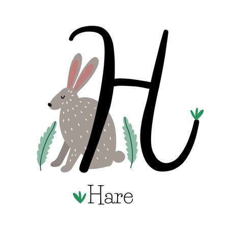 Capital letter H for Hare with calm grey hare, childish alphabet with the name of the animal, hand drawn vector illustrationのイラスト素材