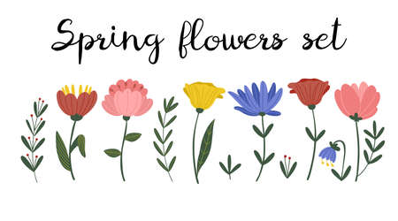 Set of beautiful spring flowers, isolated vector illustrationのイラスト素材