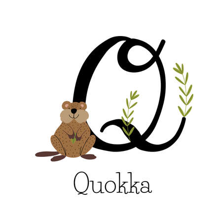 Capital letter Q for Quokka, with little quokka holding a leaf, childish alphabetのイラスト素材