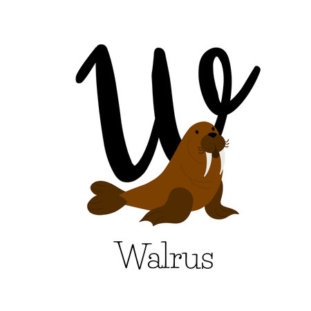 Capital letter W for Walrus, with chubby brown walrus, childish alphabetのイラスト素材