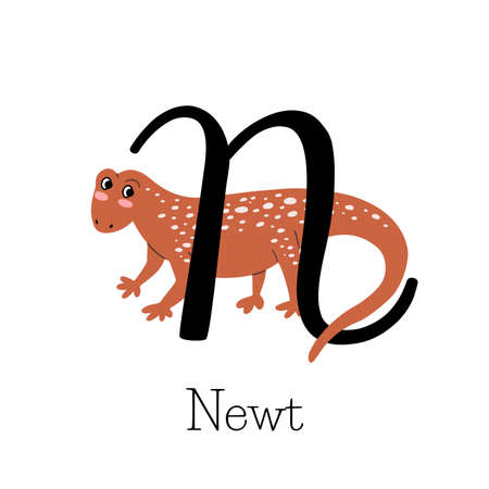Capital letter N for Newt, with cute shy animal, childish alphabetのイラスト素材