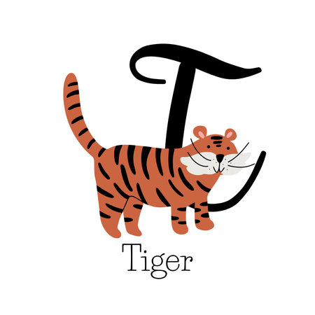 Capital letter T for Tiger with cute chubby tiger with whiskers, childish alphabet with the name of the animalのイラスト素材