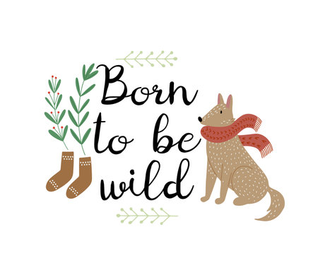 Hand drawn poster or a card with cute brown wolf in red scarf, warm little socks and plant leaves text lettering - Born to be wild. isolated vector illustrationのイラスト素材
