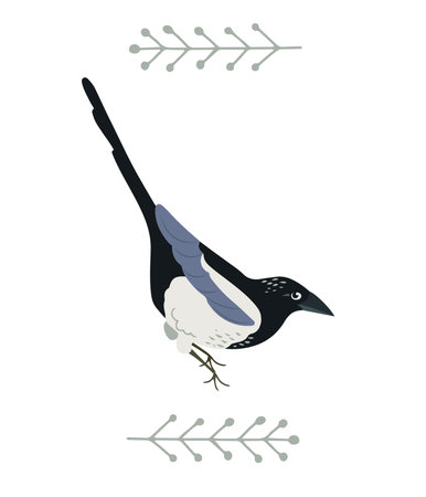 Hand drawn magpie bird in flat style decorated with folk plants, isolated vector illustrationのイラスト素材