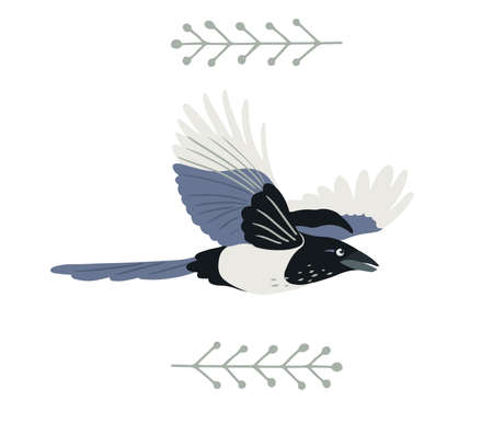 Hand drawn flying magpie bird in flat style decorated with border of folk plant leaves, isolated vector illustrationのイラスト素材