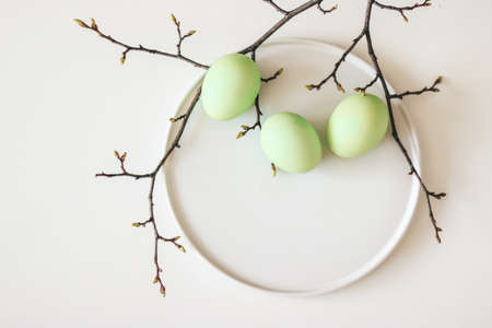 Green Easter eggs on white wide plate, decorated with tree branch, minimalistic styleの写真素材