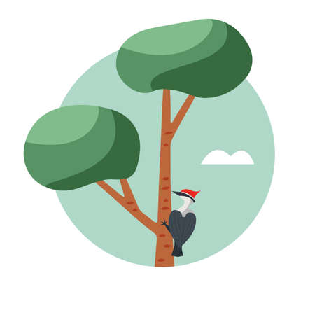 Hand drawn circle icon in flat stylewith red headed woodpecker on a tree, isolated vector illustration. Park or nature reserveのイラスト素材