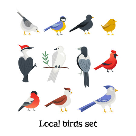 Hand drawn set of four garden birds in flat cartoon style, isolated vector illustrationのイラスト素材