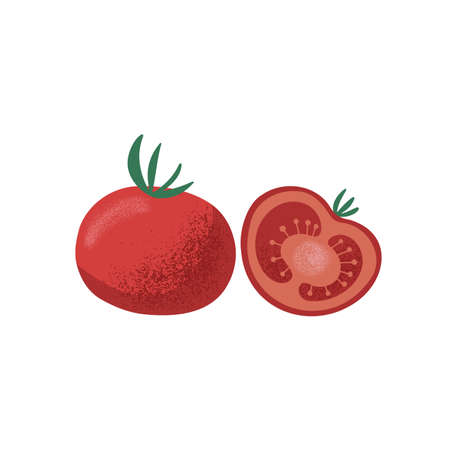 Hand drawn cute tomatoes, whole and sliced in flat style with grainy texture. Isolated on white background vector illustrationのイラスト素材