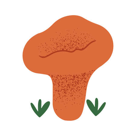 Cute little chanterelle mushroom, hand drawn vector illustration on white backgroundのイラスト素材