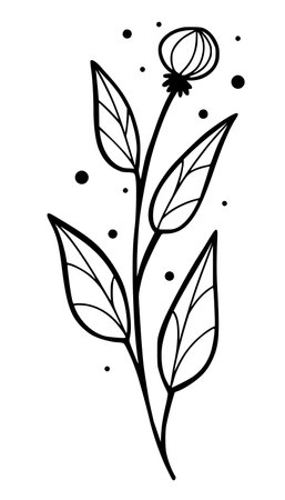 Hand drawn doodle thistle herb, isolated vector illustration with white backgroundのイラスト素材