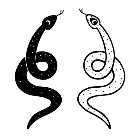 Hand drawn two occult snakes opposite colors in outline line art design, isolated vector illustration on a white backgroundのイラスト素材