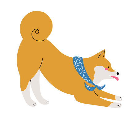 Playful Shiba Inu dog with a scarf, isolated vector illustration in flat designのイラスト素材