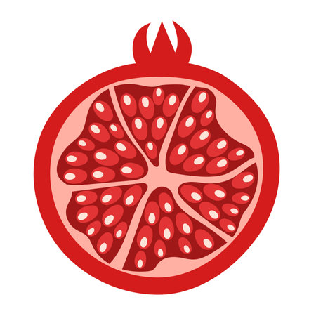 Sliced pomegranate fruit in flat design, hand drawn isolated vector illustrationのイラスト素材