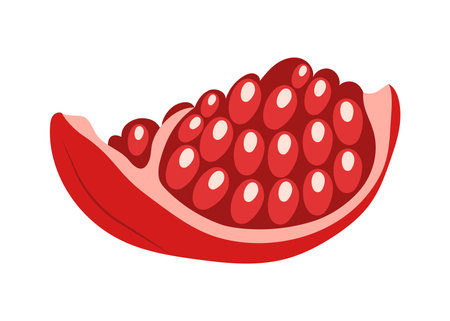 Hand drawn slice of pomegranate fruit with juicy seeds, front view. Isolated vector illustrationのイラスト素材