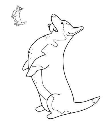 Hand drawn Corgi dog in line design. Doggy is standing asking for a treat or posing for the show. Vector illustration in contour design, isolated on white. Editable stroke.のイラスト素材