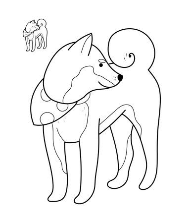 Hand drawn Akita dog in line style, outlined design. Editable stroke. Isolated on white vector illustrationのイラスト素材