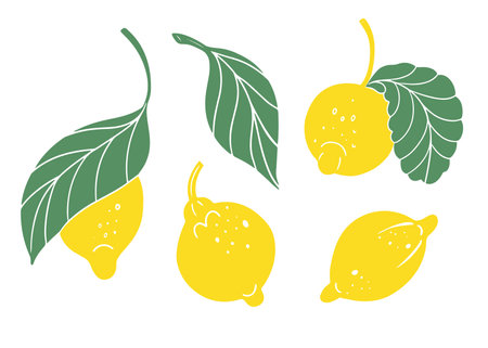Set with simple linocut design lemons and leaves. Colorful fruit silhouettes, hand drawn isolated vector illustrations in linocut styleのイラスト素材
