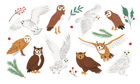 Big set with different cute owls in flat design. Night birds of prey collection. Hand drawn isolated on white vector illustrationsのイラスト素材