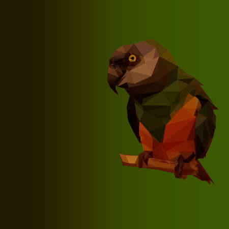 Polygonal parrotのイラスト素材