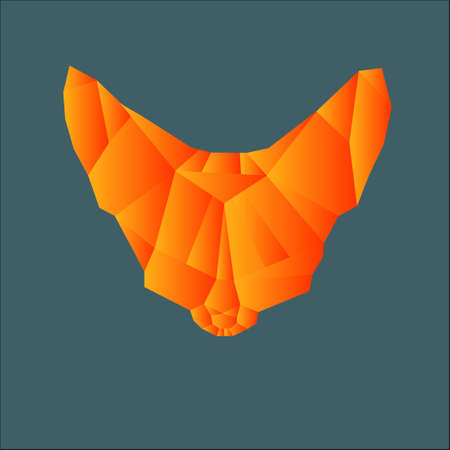 Polygonal orange snout foxのイラスト素材
