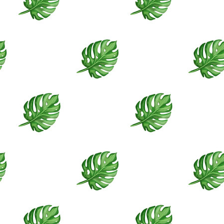 Tropical leaves create a vibrant pattern on a plain background ideal for design projects and home decorの写真素材