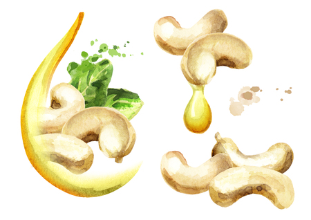 Cashew oil setの写真素材