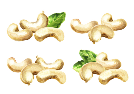 Cashew compositions. Watercolorの写真素材