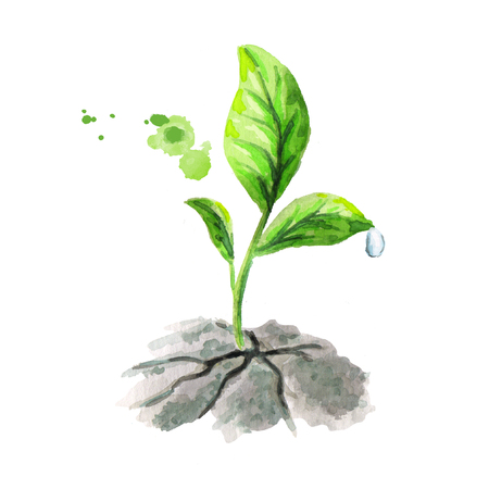 Green sprout breaks ground. Watercolor illustrationの写真素材