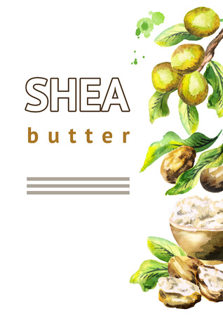 Shea butter with nuts and green leaves background. Watercolor hand-drawn illustrationの写真素材