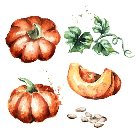 Pumpkins set. Watercolor hand-drawn illustrationの写真素材