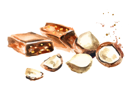 Chocolate with macadamia nuts. Watercolor hand drawn illustrationの写真素材