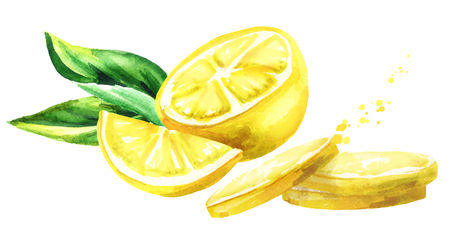 Fresh Lemon  fruits composition. Watercolor hand drawn  illustrationの写真素材