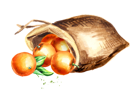 Sack of oranges. Watercolor hand drawn illustration, isolated on white backgroundの写真素材