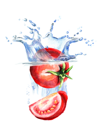 Fresh tomatoes falling into water isolated on white background. Watercolor hand drawing illustrationの写真素材