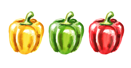 Colors of Bell pepper set. Watercolor hand drawn illustration isolated on white backgroundの写真素材