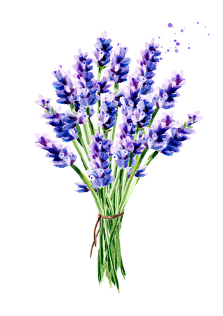 Lavender summer bouquet. Watercolor hand drawn vertical illustration, isolated on white backgroundの写真素材