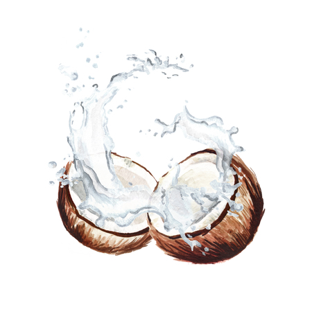 Cracked coconut with splash. Watercolor hand drawn illustration  isolated on white backgroundの写真素材