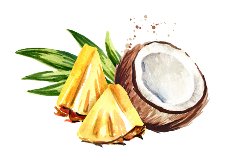 Coconut with sliced pineapple. Pina colada elements. Watercolor hand drawn illustration  isolated on white backgroundの写真素材