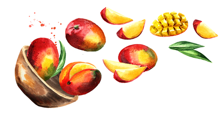 Bowl with ripe mango. Hand drawn horizontal watercolor illustration, isolated on white backgroundの写真素材