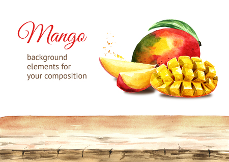 Mango  background elements. Watercolor hand drawn illustrationの写真素材
