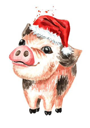 Little cute funny teacup mini pig in the Christmas cap.  Symbol of the new year. Watercolor hand drawn illustration, isolated on white backgroundの写真素材