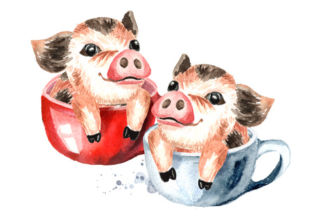 Two Little cute funny teacup mini pig in the red tea cup. Watercolor hand drawn illustration, isolated on white backgroundの写真素材
