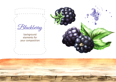 Watercolor hand drawn illustration, isolated on white backgroundの写真素材